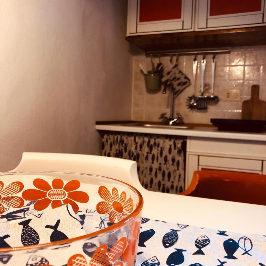 كاستاجنيتو كاردوتشي Anitta Guesthouse المظهر الخارجي الصورة
